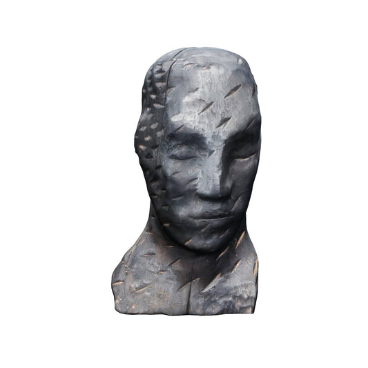 Dark Matter Head