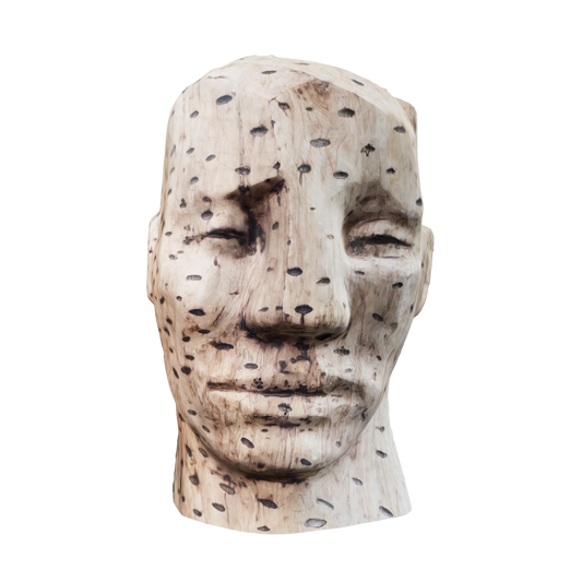 Head (2023)